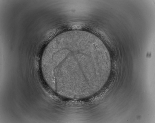 X0000098220311200805151323