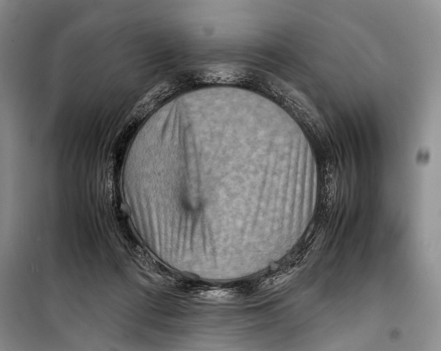 X0000098220312200805151323