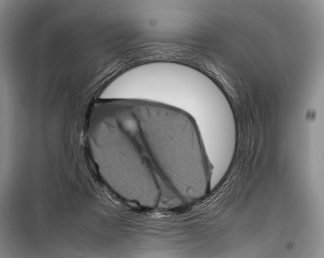 X0000098220313200805151323