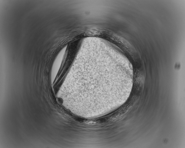 X0000098220315200805151323