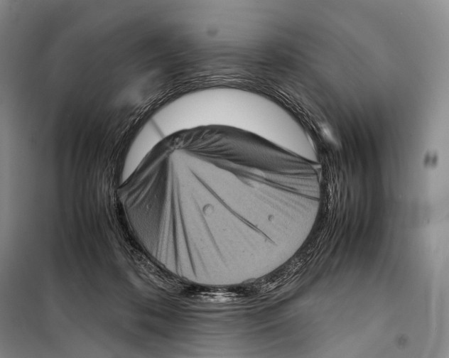 X0000098220316200805151323