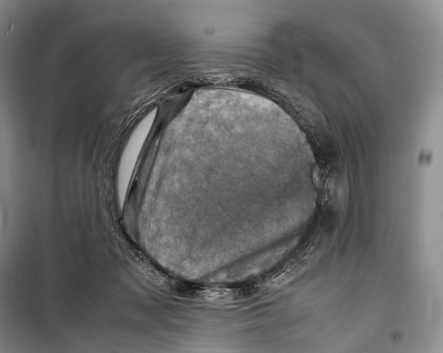 X0000098220317200805151323