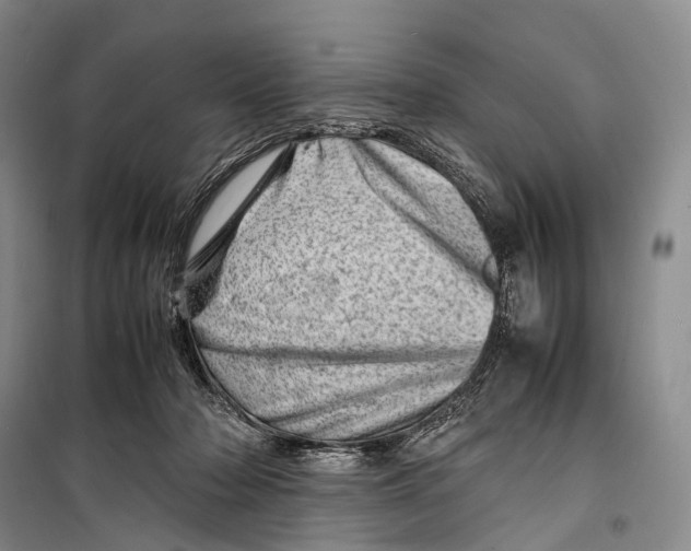 X0000098220318200805151323