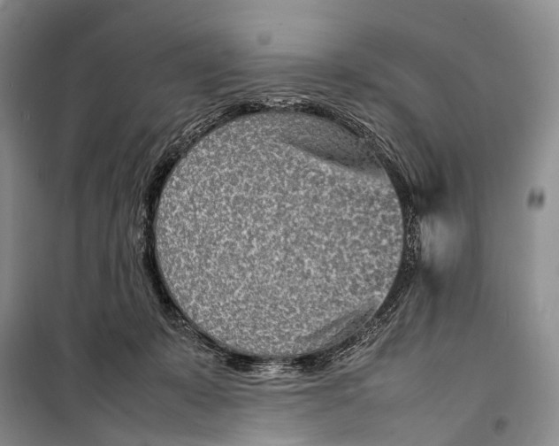 X0000098220319200805151323