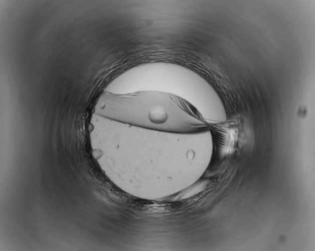 X0000098220320200805151323