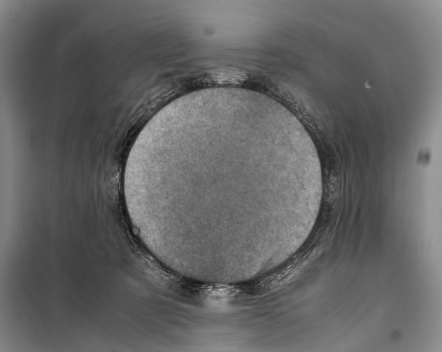 X0000098220321200805151323