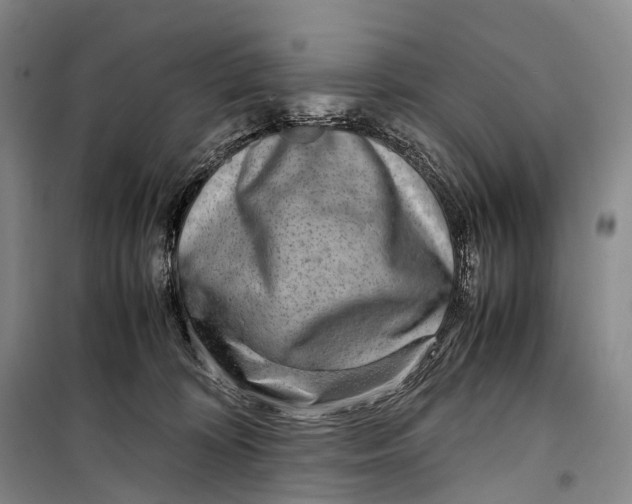 X0000098220324200805151323