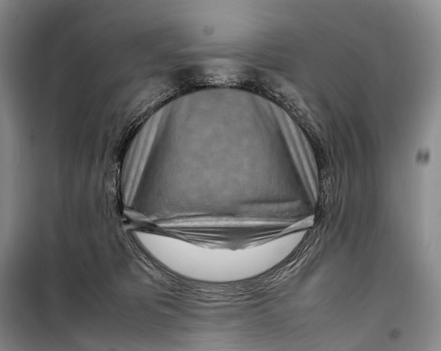 X0000098220325200805151323