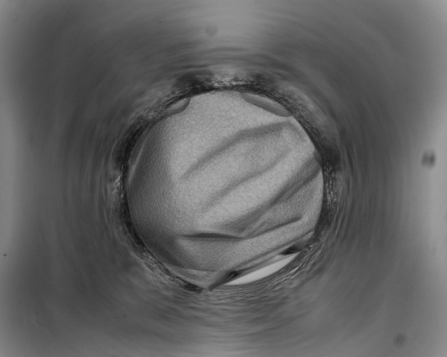 X0000098220327200805151323