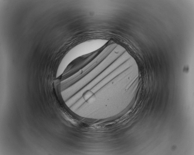 X0000098220328200805151323