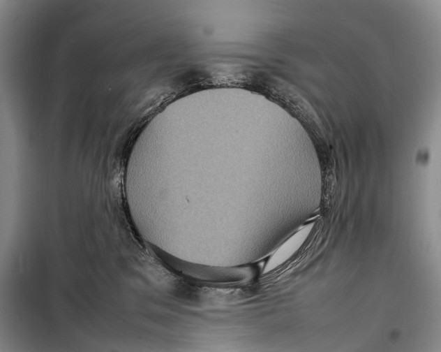 X0000098220329200805151323