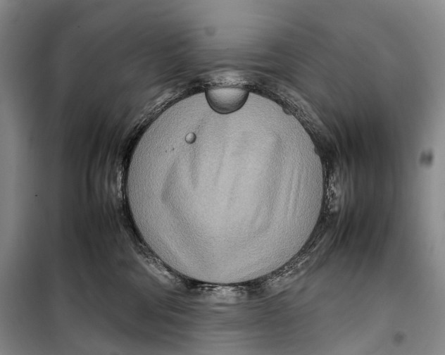 X0000098220330200805151323