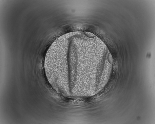 X0000098220331200805151323