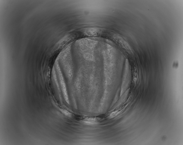 X0000098220332200805151323