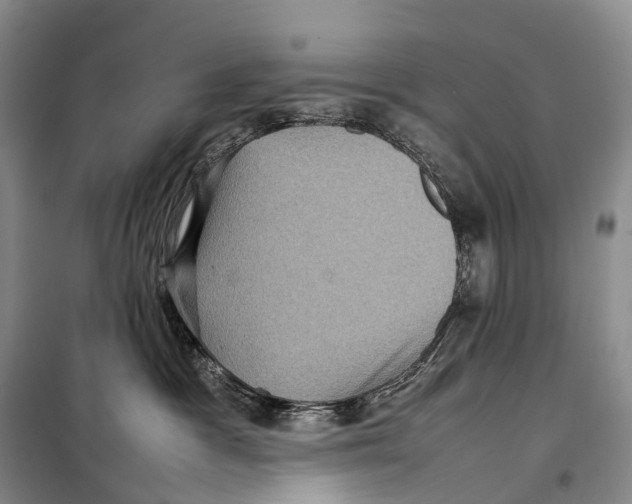 X0000098220333200805151323