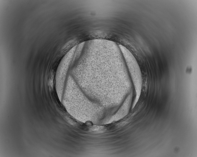 X0000098220334200805151323