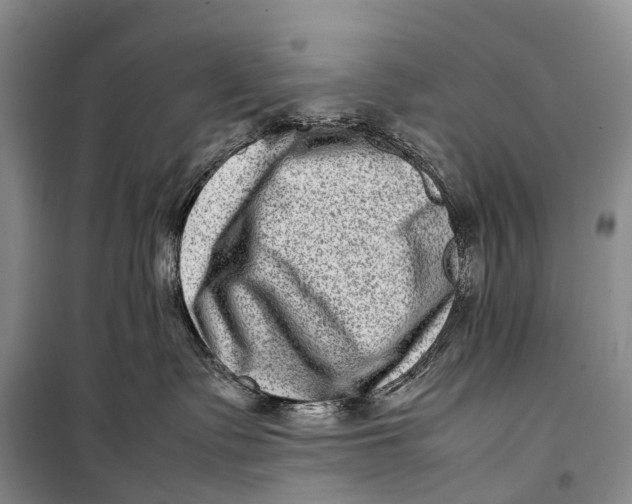 X0000098220335200805151323