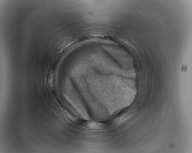 X0000098220336200805151323