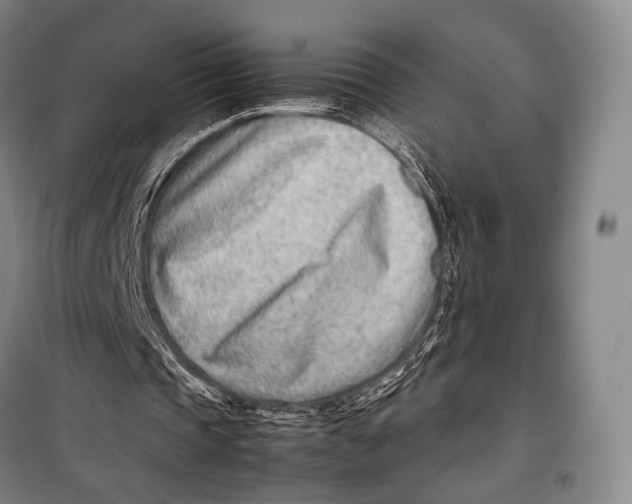 X0000098220337200805151322