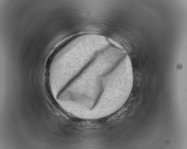 X0000098220338200805151322