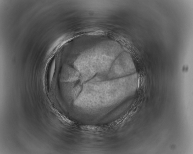 X0000098220339200805151322