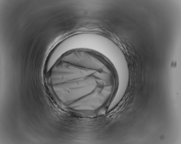 X0000098220340200805151322