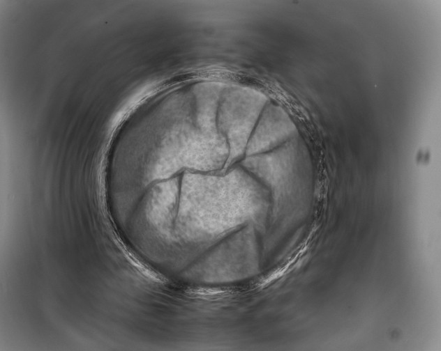 X0000098220341200805151322