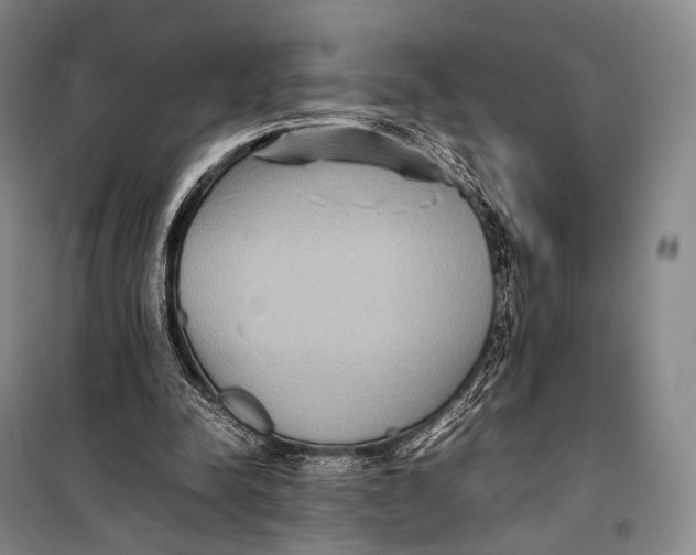 X0000098220342200805151322