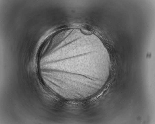 X0000098220343200805151322