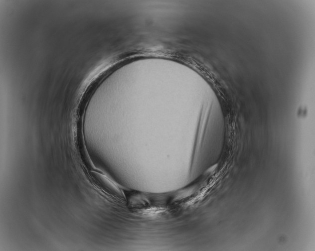 X0000098220344200805151322