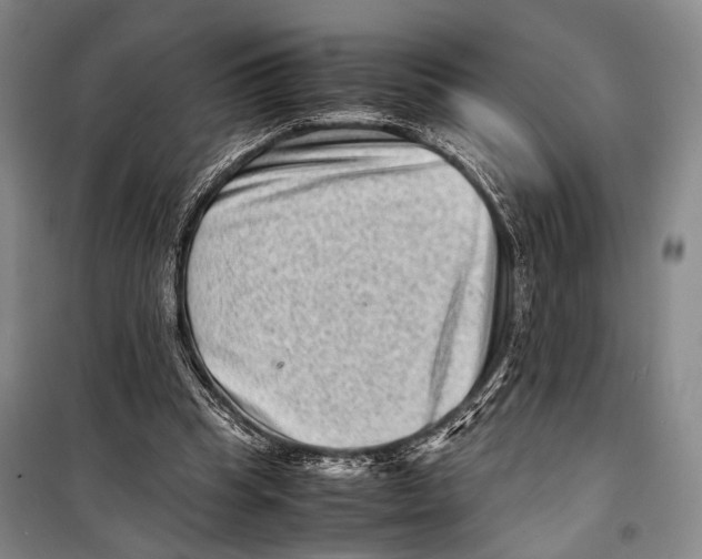 X0000098220345200805151322