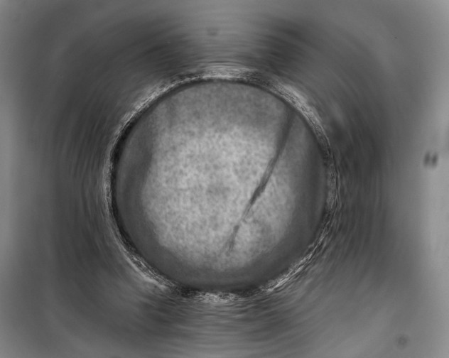 X0000098220346200805151322