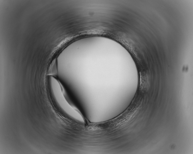 X0000098220348200805151322