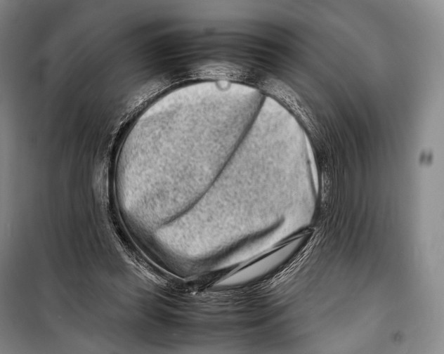 X0000098220349200805151322