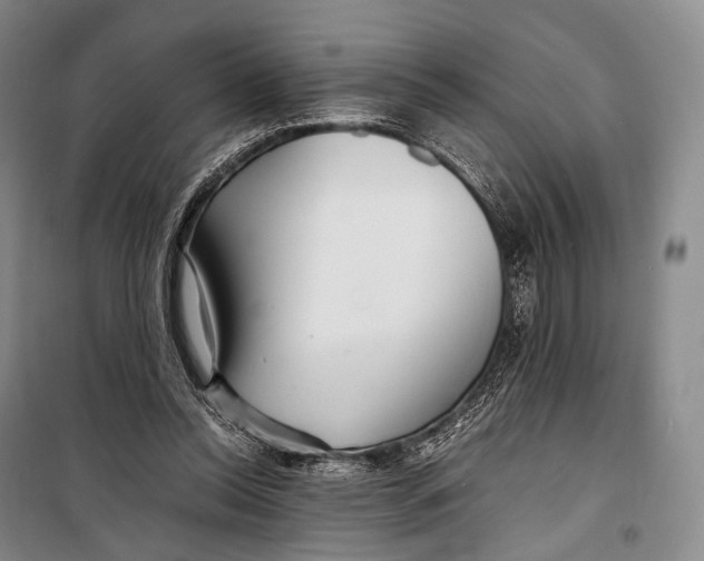 X0000098220350200805151322