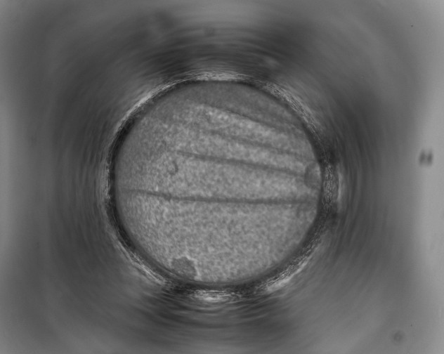 X0000098220351200805151322