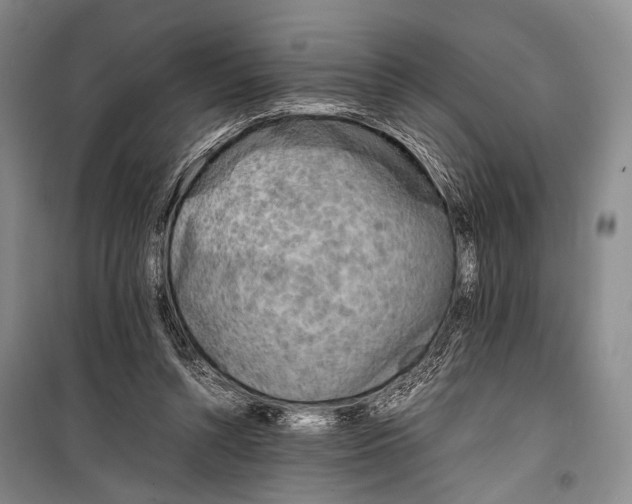 X0000098220352200805151322