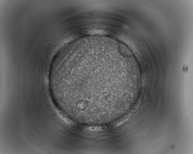 X0000098220353200805151322