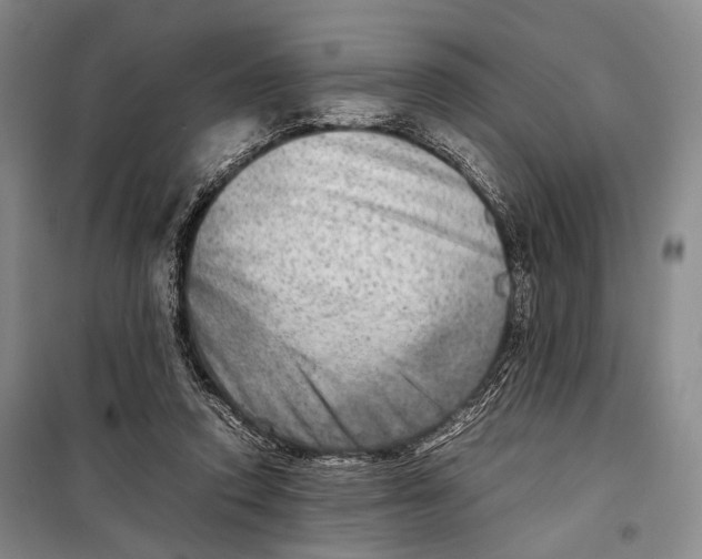 X0000098220354200805151322