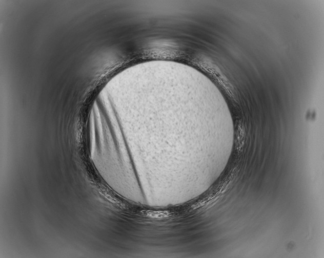 X0000098220355200805151322