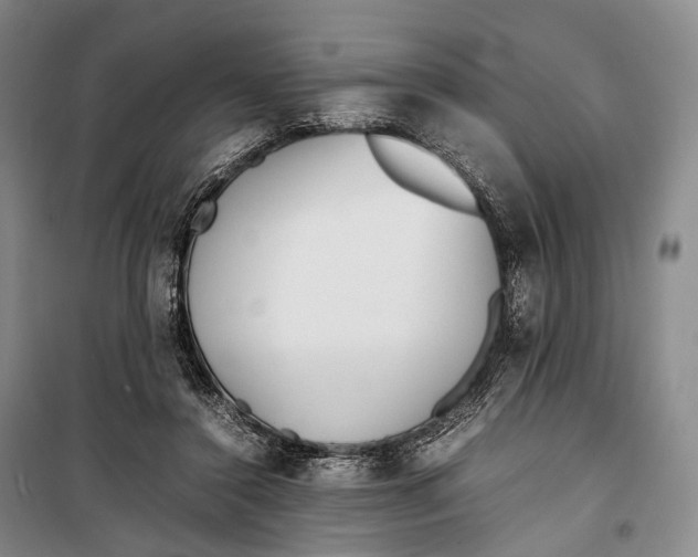 X0000098220356200805151322