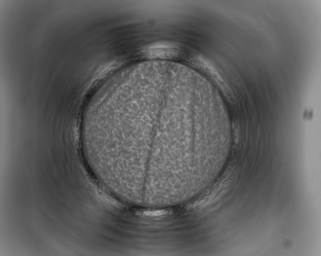 X0000098220357200805151322