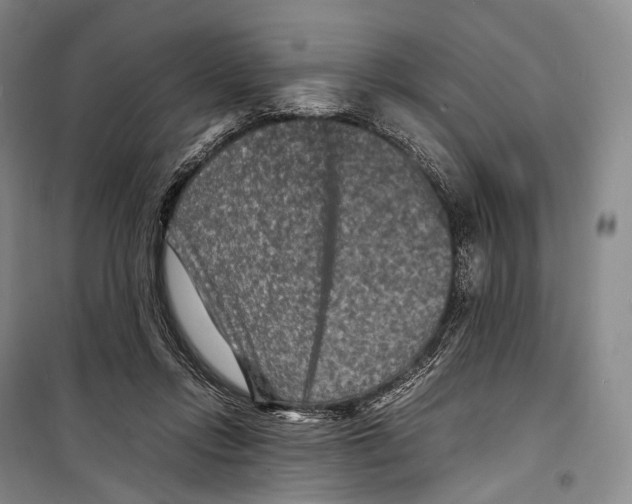 X0000098220358200805151322