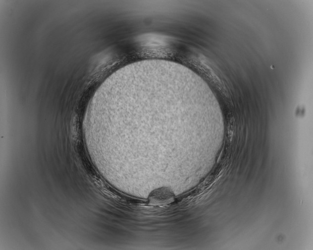 X0000098220359200805151322