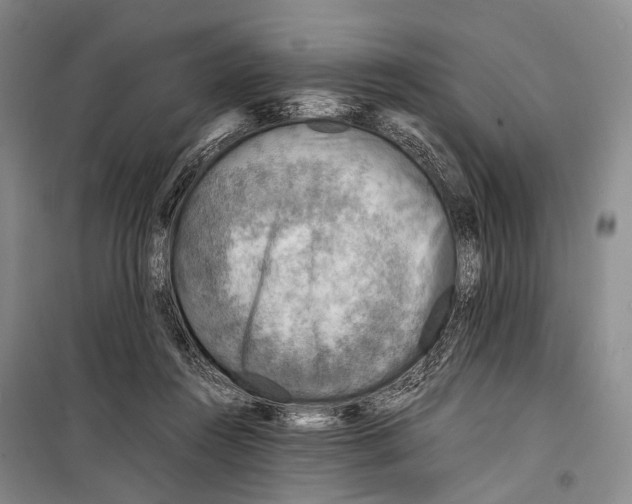 X0000098220360200805151322