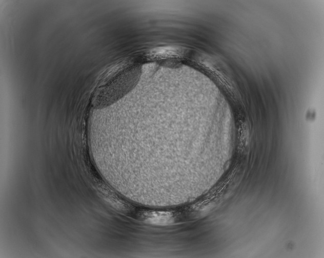 X0000098220361200805151322