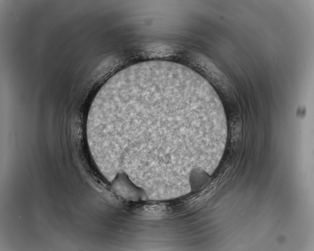 X0000098220362200805151322