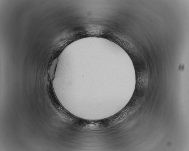 X0000098220364200805151323