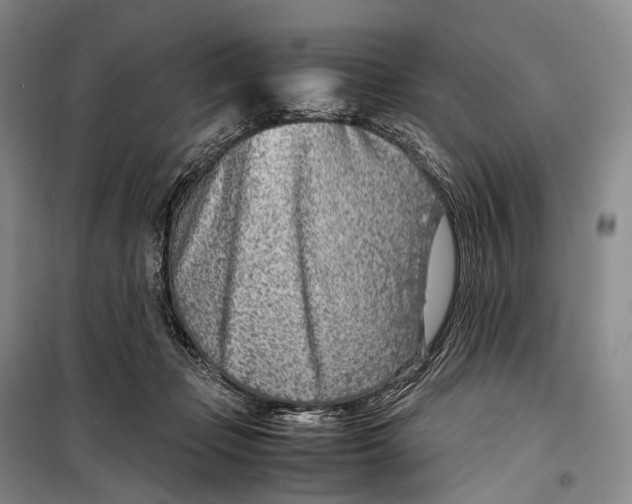 X0000098220365200805151323