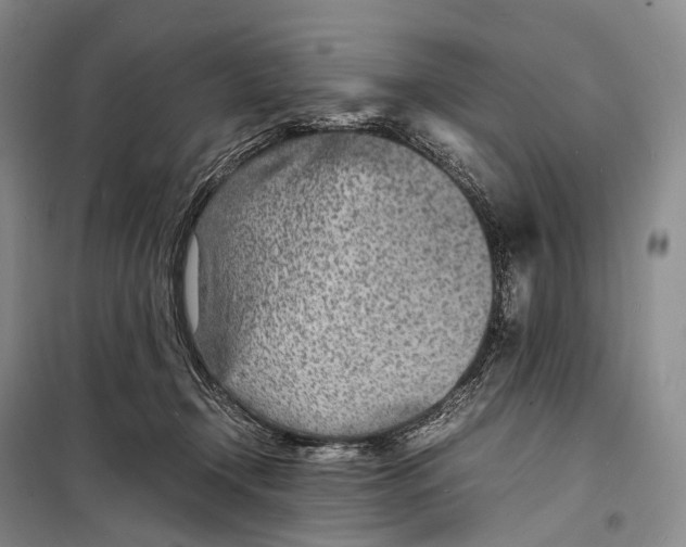 X0000098220366200805151323